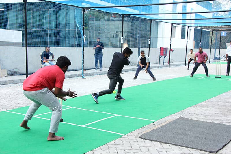 Cricket games for employees